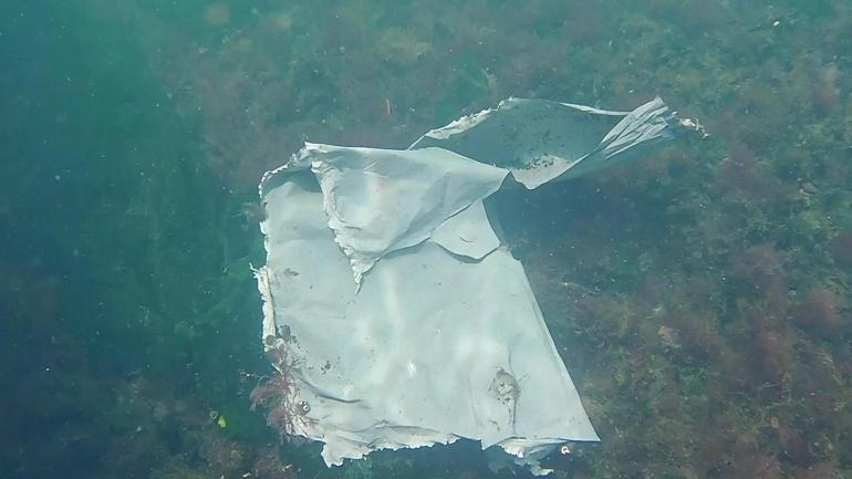 VİDEO | CNN TÜRK su altı dronu ile Haliçi görüntüledi: Marmara Denizi tehdit altında