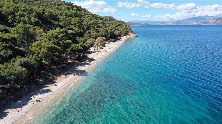 SON DAKİKA İzmir yangın söndü mü İzmir yangın son durum ne İzmir yangın haberleri