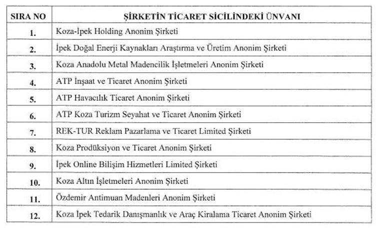 12 şirketin Hazineye ait hisselerinin Türkiye Varlık Fonuna aktarılması Resmi Gazetede