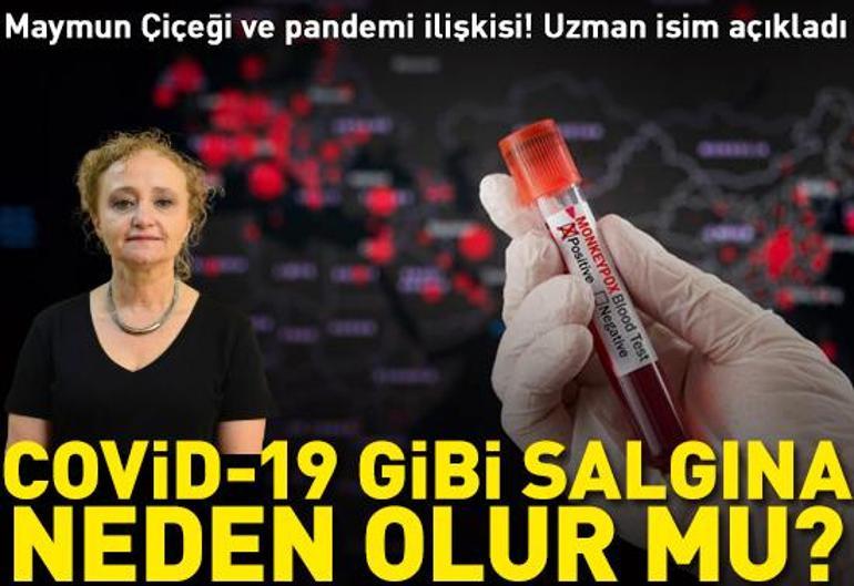 21 Ağustos 2024 Çarşamba gününün son dakika önemli gelişmeleri (CNN TÜRK 16.30 bülteni)