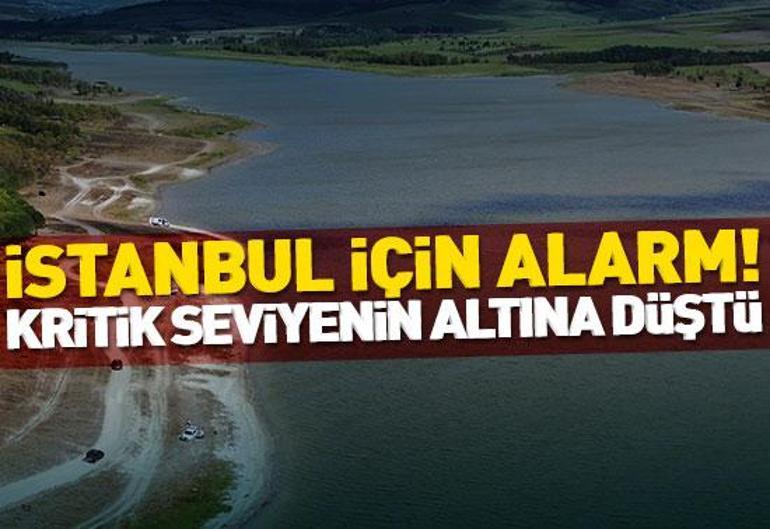 22 Ağustos 2024 Perşembe gününün son dakika önemli gelişmeleri (CNN TÜRK 11.30 bülteni)