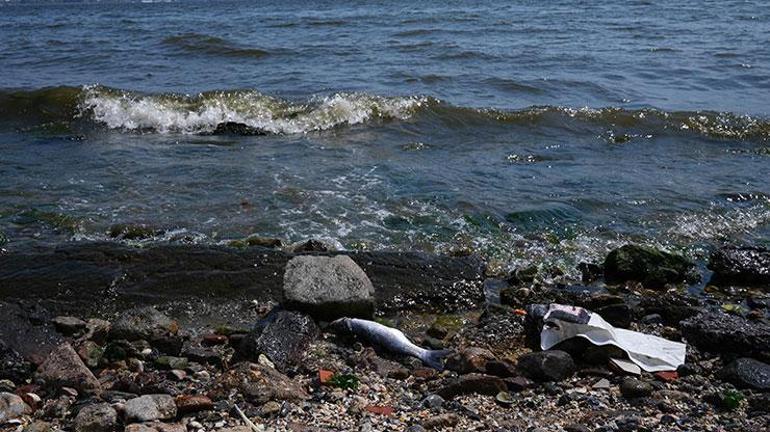 İzmir Körfezinde balık tutulmaması için uyarıcı afişler asıldı