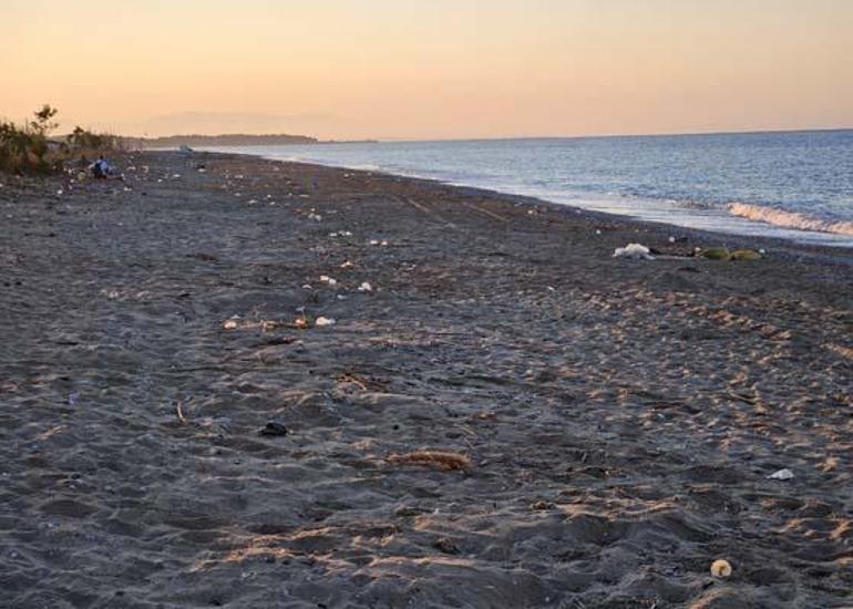 Yavru carettaların çöplerin içinden denize ulaşma mücadelesi