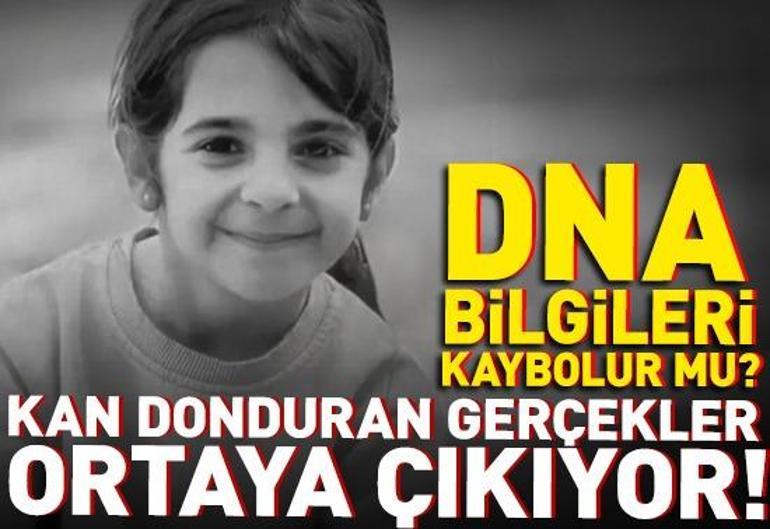 SON DAKİKA NARİN HABERİ: Narini kim neden öldürdü Narinin ölümüyle ilgili son gelişmeler neler TUTUKLU SAYISI 11E YÜKSELDİ