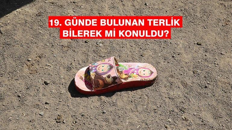 SON DAKİKA NARİN HABERİ: Narini kim neden öldürdü Narinin ölümüyle ilgili son gelişmeler neler TUTUKLU SAYISI 11E YÜKSELDİ