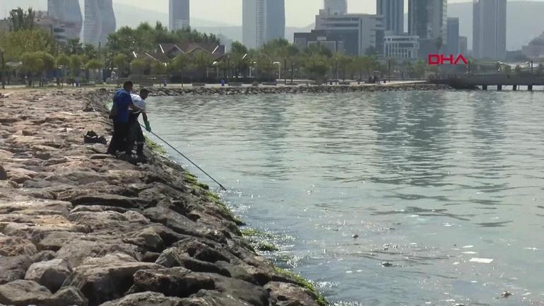 Cemil Tugay eylem planını neden imzalamadı