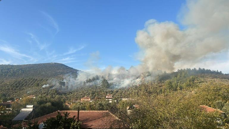 Muğla’da orman yangını: Soğutma çalışmaları sürüyor