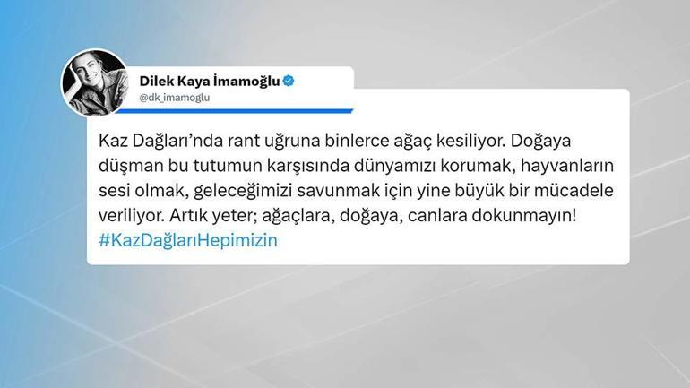 Kaz Dağlarında villa için ağaç kesildi iddiası O ağaçları İmamoğlu mu kestirdi