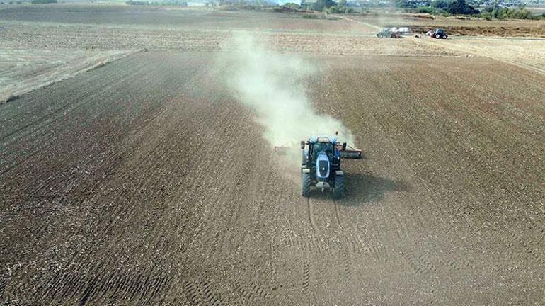 Ekim mesaisi biten buğdayda, üreticinin gözü yağışlarda