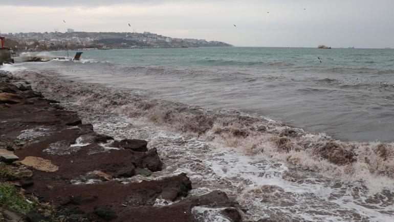 Tekirdağ sahilini kırmızı yosun kapladı