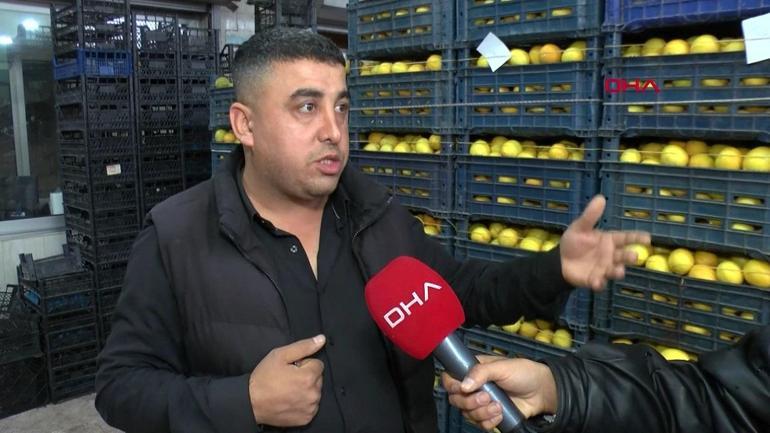 Limonda bahçeden rafa fiyat uçurumu