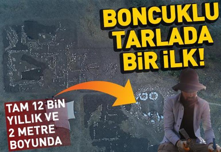 17 Aralık 2024 Salı gününün son dakika önemli gelişmeleri (CNN TÜRK 16.30 bülteni)