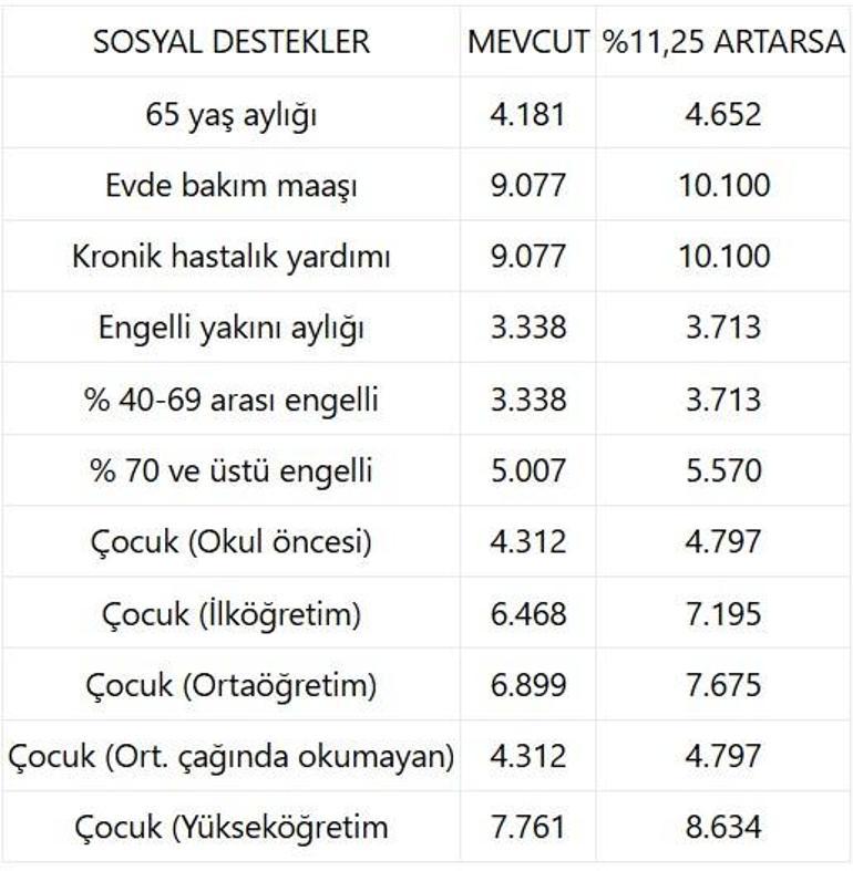 Engelli maaşı, yaşlılık aylığı (65 yaş aylığı) ne kadar 2025 olacak