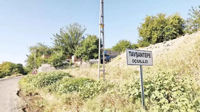 10 klasörlük dava dosyası incelendi: Narini ne gören var ne de tanıyan