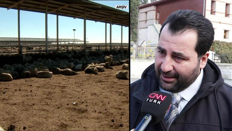 SANAL BÜYÜCÜNÜN AĞINA DÜŞTÜ Sosyal medyadan ulaştığı kişiler dolandırıcı çıktı