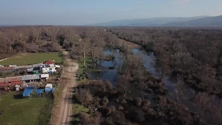 Bursa’daki firari bozayı hala aranıyor