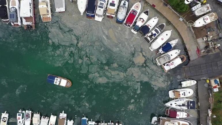 Uzmanlar uyarıyor: Marmara, deniz salyası tehdidi altında