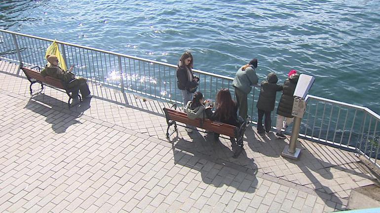 Icardinin oturduğu bank turistik yer olarak işaretlendi