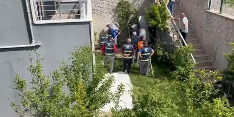 Köpekleri parçalayan doktorun evinden çıkanlar şoke etti