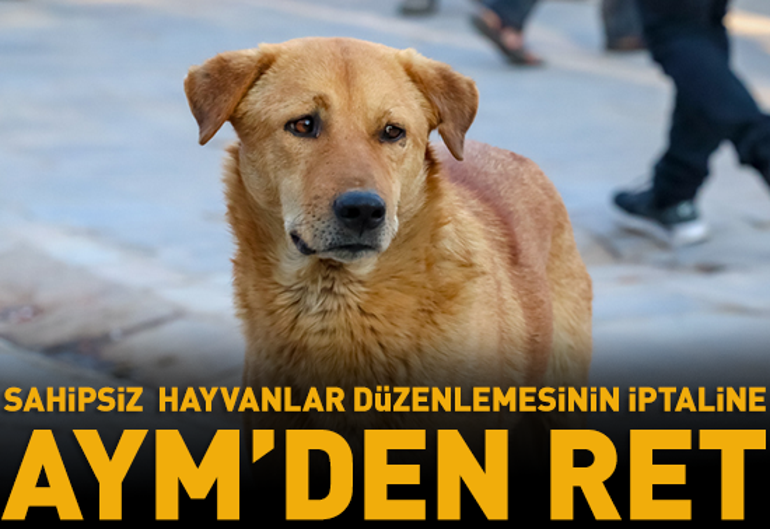 07 Mayıs Çarşamba gününün son dakika önemli gelişmeleri (CNN TÜRK 16.30 bülteni)