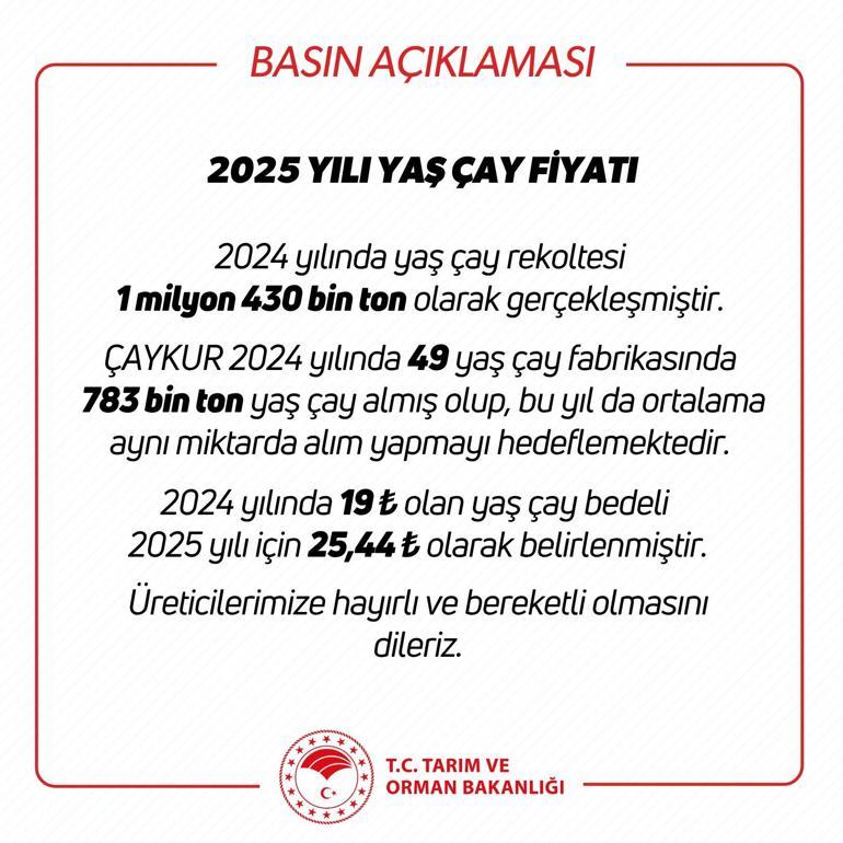 SON DAKİKA: 2025 yaş çay alım fiyatı belli oldu