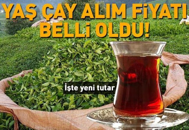 13 Mayıs 2025 Salı gününün son dakika önemli gelişmeleri (CNN TÜRK 16.30 bülteni)