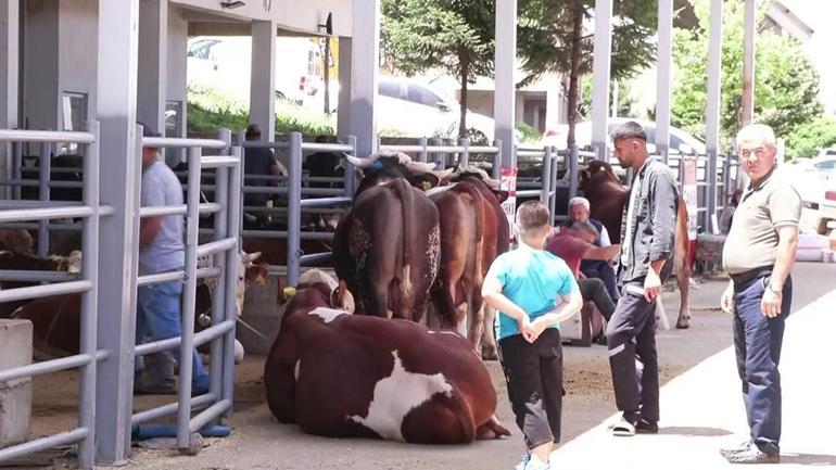 Tarım ve Orman Bakanlığından bayram tedbirleri