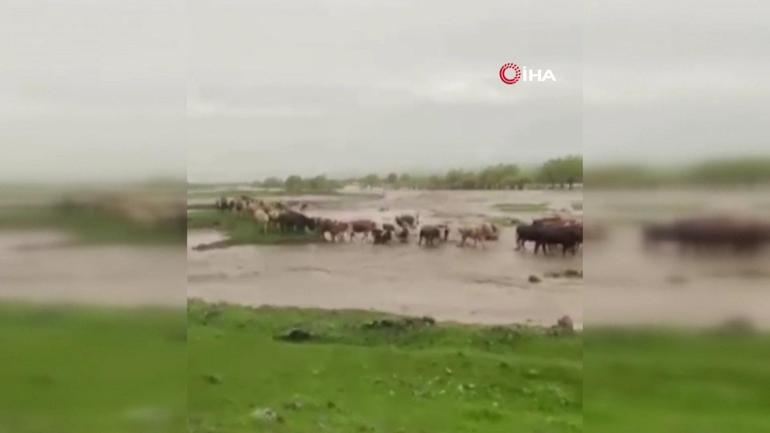 Peş peşe felaket Sel, taşkın, zarar… Sağanak ve dolu yurdu vurdu