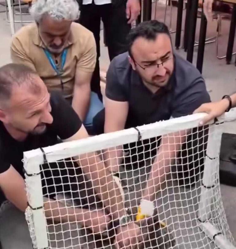 Malatyada pitbull dehşeti Kalabalığın arasına dalıp bir kadını ısırdı