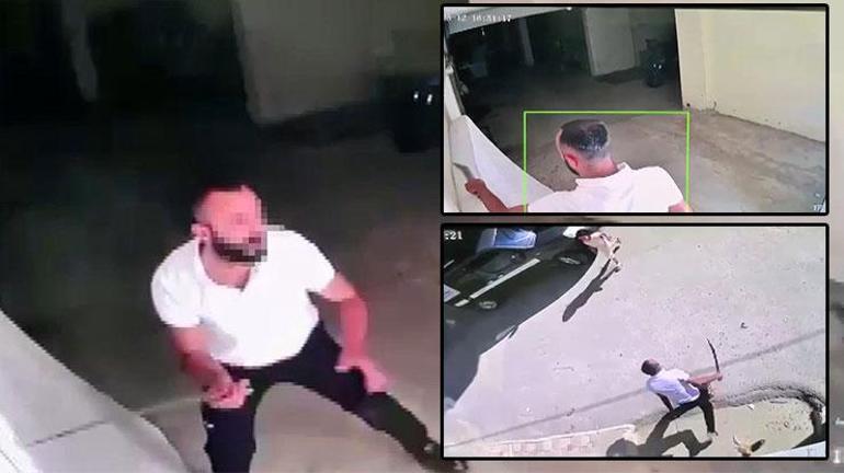 Palalı dehşet: Evimize kadar girdi Can güveliğimiz yok
