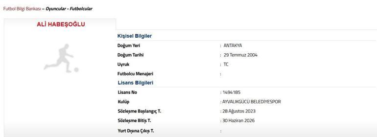 Ali Habeşoğlu Kimdir Galatasarayın Yeni Gözdesi Ali Habeşoğlu Kaç Yaşında, Nereli Genç Gol Makinesi
