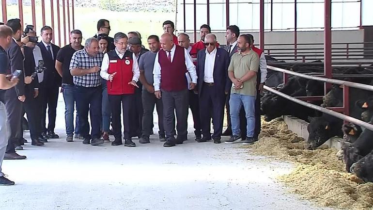 Kırsalda Bereket Hayvancılığa Destek projesinin detayları
