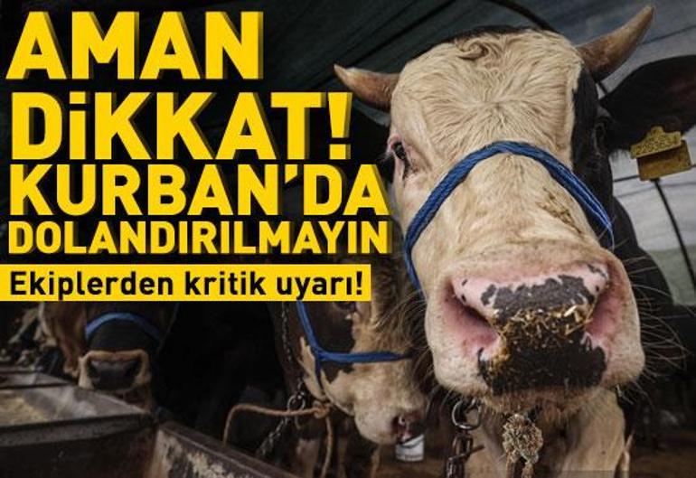 3 Haziran 2025 Salı gününün son dakika önemli gelişmeleri (CNN TÜRK 16.30 bülteni)