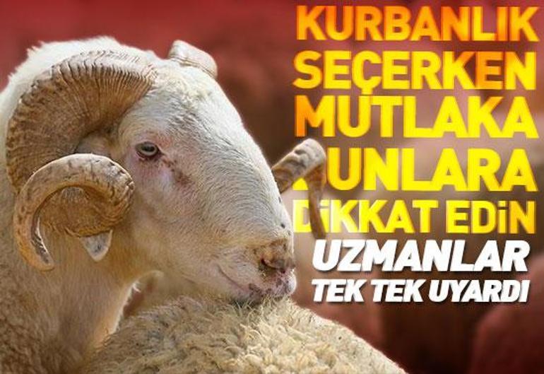 5 Haziran 2025 Perşembe gününün son dakika önemli gelişmeleri (CNN TÜRK 11.30 bülteni)