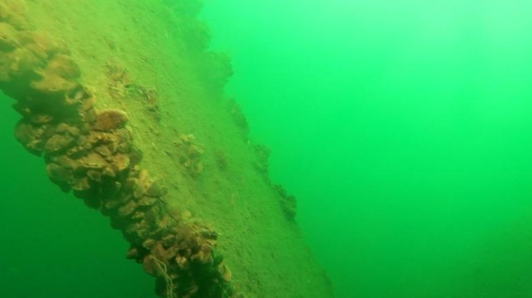 Sapanca Gölüne düşen uçağın enkazı 53 yıl sonra yeniden görüntülendi