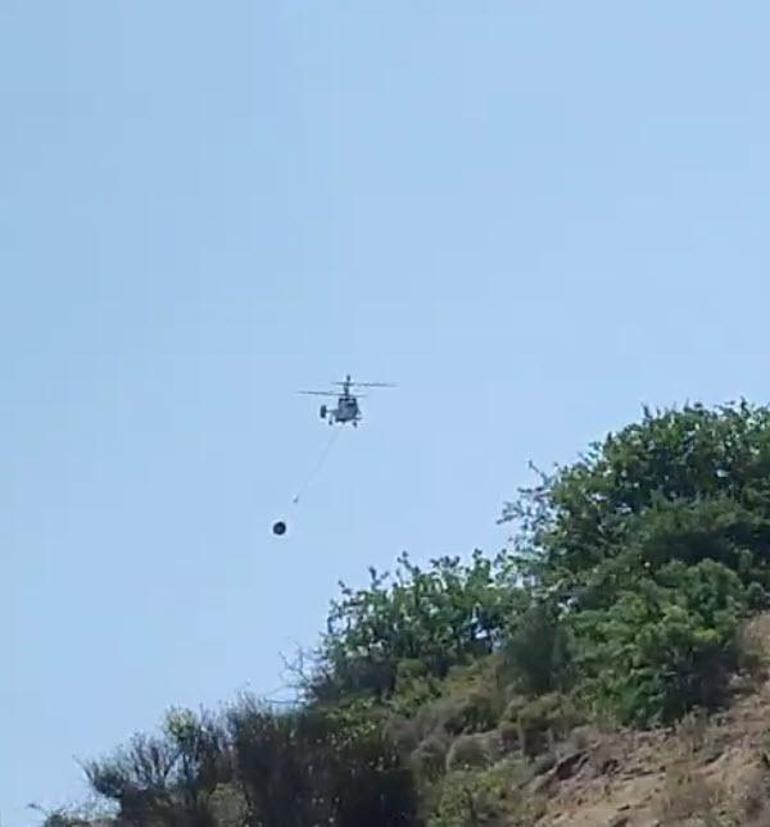 Son Dakika Haberi: Çanakkalede orman yangını