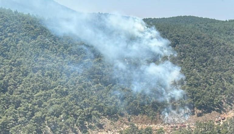 SON DAKİKA... 4 ilde orman yangını: Ekipler müdahale ediyor İşte son durum