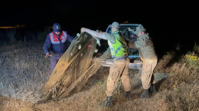 Van’da jandarma ekipleri kaçak avlanmış 1,5 ton inci kefali ele geçirdi
