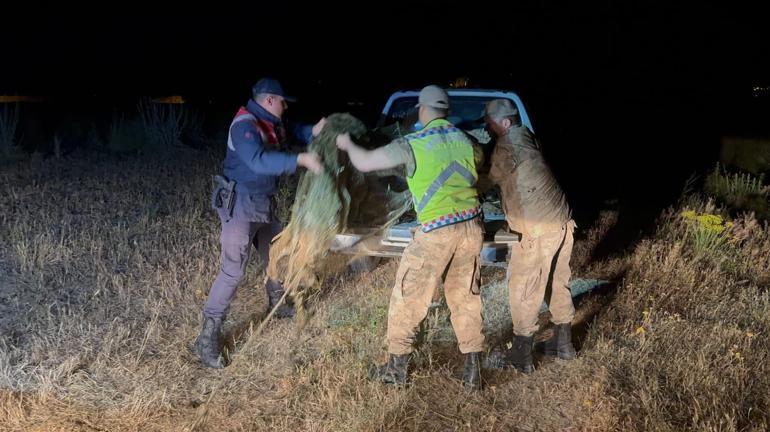 Van’da jandarma ekipleri kaçak avlanmış 1,5 ton inci kefali ele geçirdi