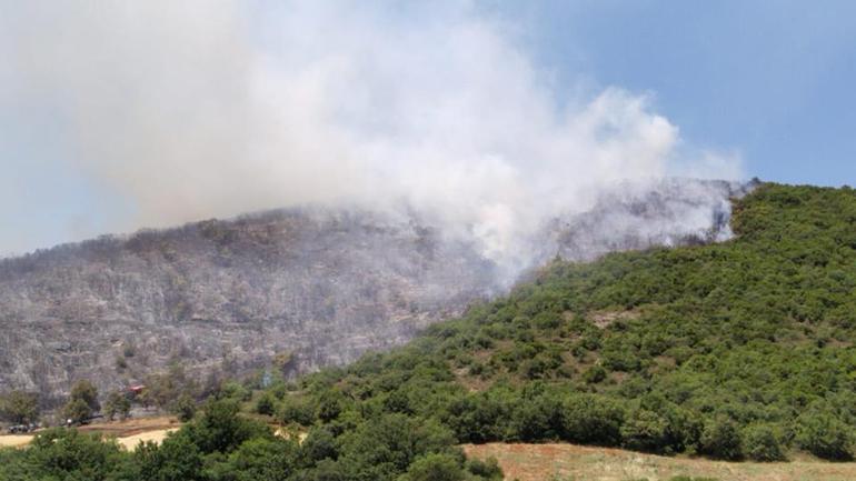 Bursada orman yangını: Ekipler bölgede
