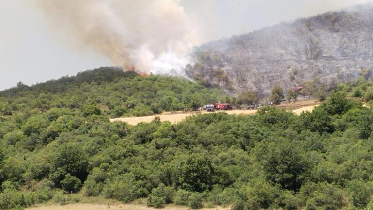 Bursada orman yangını: Ekipler bölgede