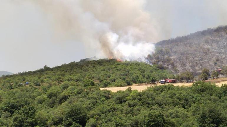 Bursada orman yangını: Ekipler bölgede
