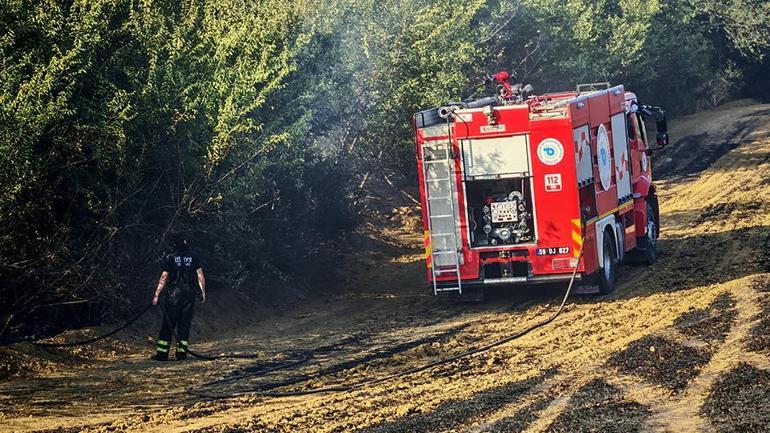 Bursada orman yangını: Ekipler bölgede