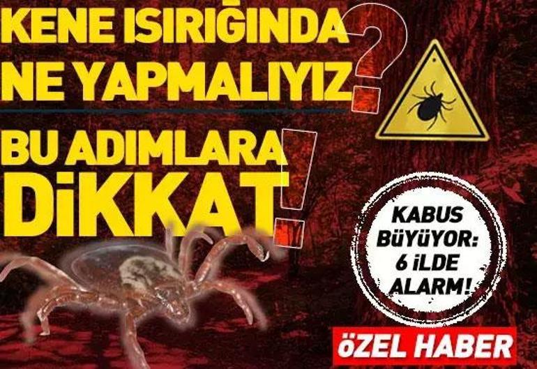 25 Haziran 2025 Çarşamba gününün son dakika önemli gelişmeleri (CNN TÜRK 16.30 bülteni)