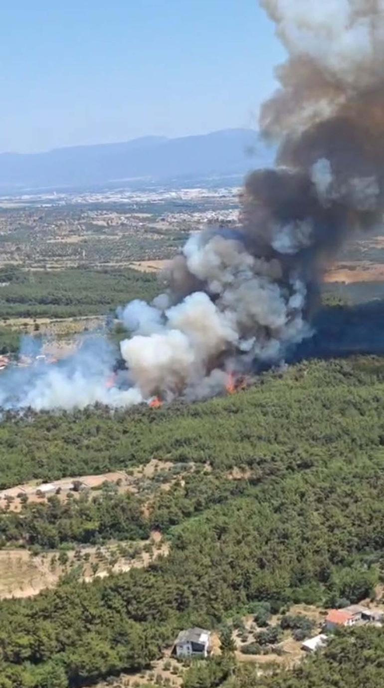 SON DAKİKA... 5 ilde orman yangını Havadan ve karadan müdahale
