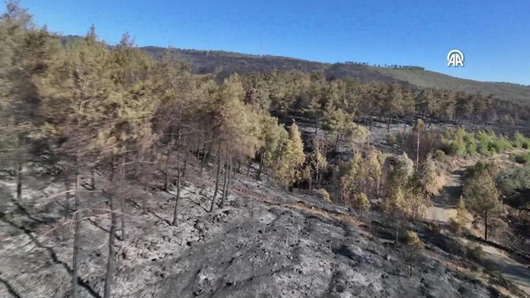  Hataydaki felaket görüntüleri havadan görüntülendi