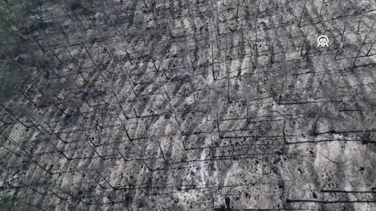  Hataydaki felaket görüntüleri havadan görüntülendi