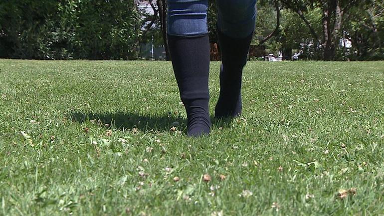 İstanbulda görülen keneler zararlı mı