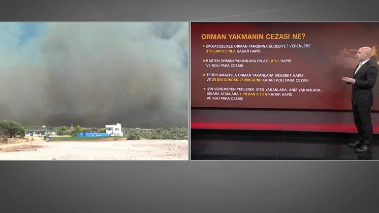  CEZALAR NE KADAR