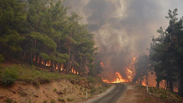  İzmirde 228 konut ağır hasarlı